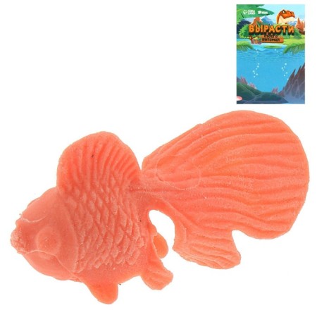 Children's experience “growing animal. Goldfish ", mix-6