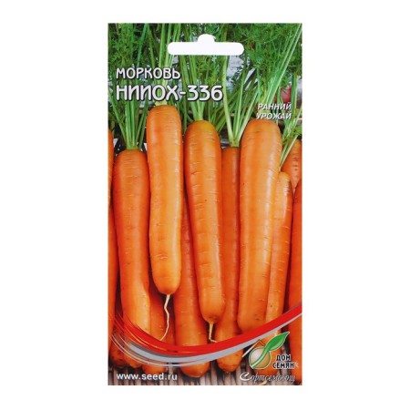Carrots "NIIOKh 336 12", 1650 pcs