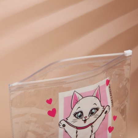 Cosmetic bag from transparent PVC 21 x2 x14 cm "The smallest"-2