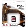 Memory of SDXC 256GB Kingston SDR2/256GB Canvas React Plus W/O Adapter
