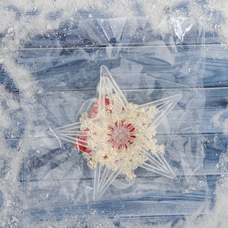 Christmas tree decoration "Polar Star" D-11.5 cm, transparent-3