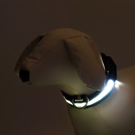 Collar with backlight size S, Osh 35-43 x 2.5 cm, 3 glow modes Black-1