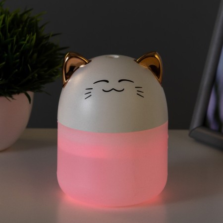 Night-owner "Tigeron" LED 2W USB 250ml white 8.4x8.4x10.8 cm Risalux-4