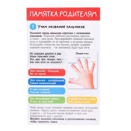 Developing set "Smart Gonziki", teach fingers-5