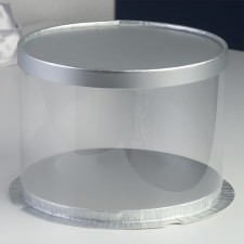 Cake box, confectionery packaging, silver, 22 x 22 x 16 cm