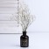 Flower Vase Follow You Dream, 125 ml.