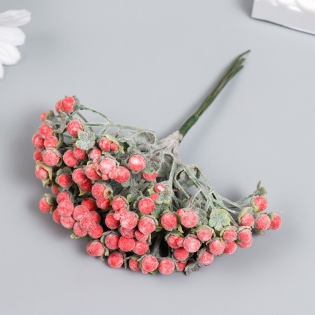 Decor for creativity "inflorescence with red balls" d = 0.6 cm 1 bouquet = 6 colors 11 cm-1