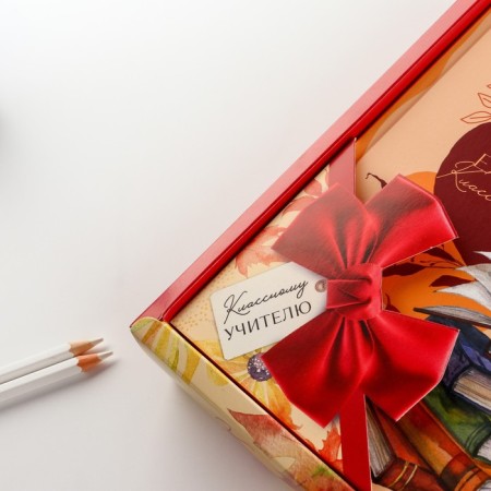 Gift set to the class teacher a diary and a bell handle (ball, blue paste, 1 mm)-2
