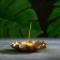 Set of incense on the stand "Meili" Bronze 10x4cm