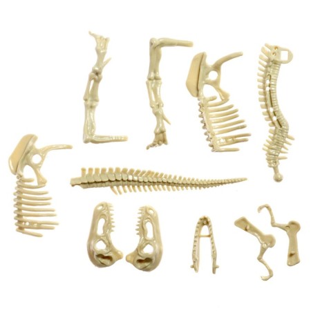 Set for experiments "Dinosaurs time", tyrannosaurus, in the package-2
