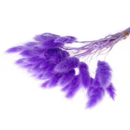 Dry-flowers "Lagurus", set of 30 pcs., The color is light purple-3