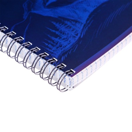 Notebook on the crest, Calligrata “Mountains”, A4, on the crest, 80 sheets, in the cage, the cover coated cardboard, glossy lamination, offset block, blue-2