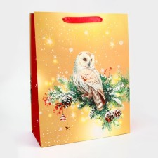 Package Gift New Year Laminated 