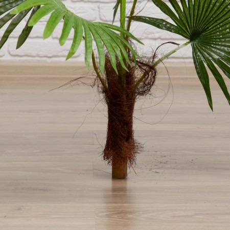 Artificial Palma tree 70 cm-2