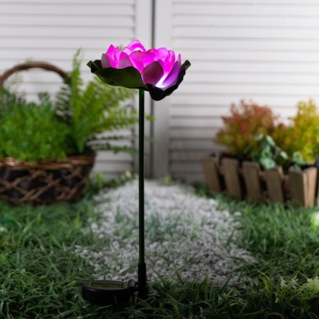 Garden lamp on the sunny battery "Lotus", 70 cm, 1 LED, glow of white-1