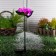 Garden lamp on the sunny battery "Lotus", 70 cm, 1 LED, glow of white