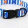 Collar "for a big trip", fastener - fastx, 2 cm 25-40 cm
