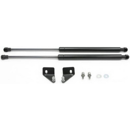Copot shock absorbers "Avtoopor", Renault Sandero 2009-2014, 2 pcs., Uresan/Stw011