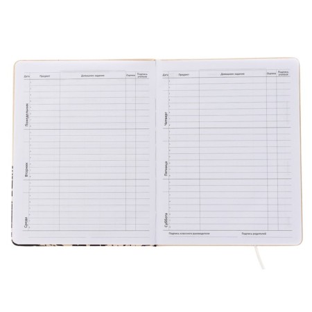 Universal diary for grade 1-11 today is the same day, solid cover, artificial leather, silkography, lies, 80 g/m2-4