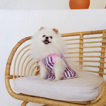 Dress for dogs Culinary, s (DS 27, Osh 32-36, OG 38-42), pink with gray stripes-8