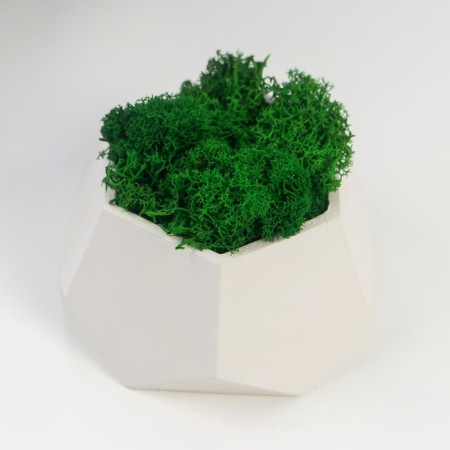 Kashpo concrete "hexagon" height 6.5 cm white with moss (moss green stabilized)-1
