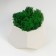 Kashpo concrete "hexagon" height 6.5 cm white with moss (moss green stabilized)