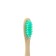 Middle bamboo toothbrush in the box, green