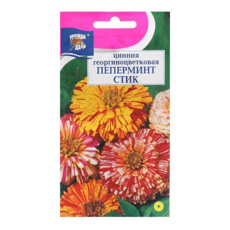 Seeds of Tsinnia flowers "Peppermint Style", mixture, 0.3 g