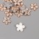 Decor for creativity Plastic "Five -Pacific" Gold set 20 pcs 1.9x1.9x0.7 cm