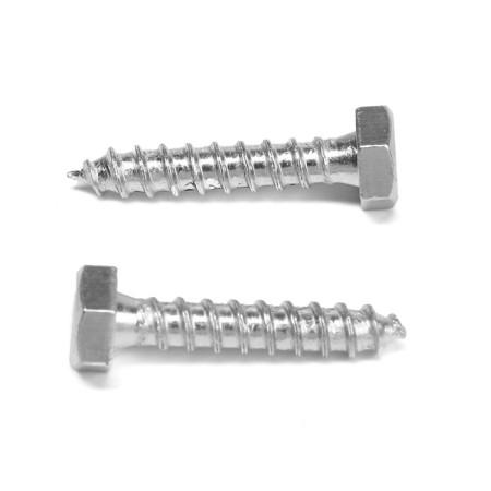 Tundra bolt, capercaillie, plumbing, Din571, M6x30 mm, 4.8 - 5 kg-1