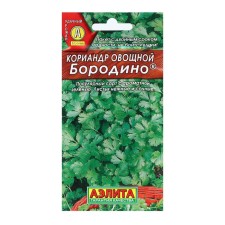 Coriander seeds of vegetable 