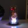 Nightlight "Bear with Flower" LED red 3HAAA 10.5x10.5x22cm