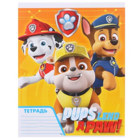 A set of first grader in the folder, puppy patrol, 25 items-8