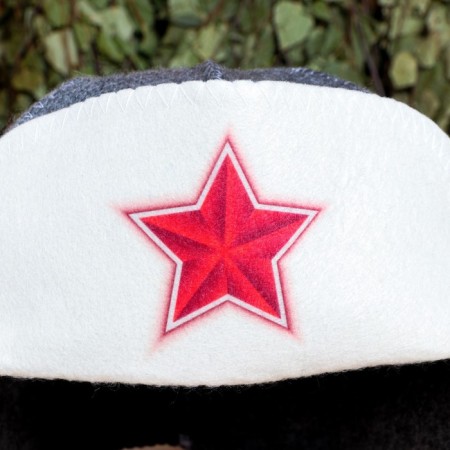 Hat - Ear for the bath "Star"-1