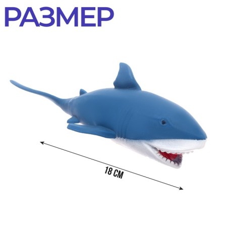 Anthistress Magnel Perenochka "Shark", with sand, in showbox-1