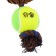 Toy for dogs 3-in-1 "Monkey": cable, soft with a squeak, felt ball, 30 cm