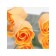 Soap roses, orange, set of 3 pcs.
