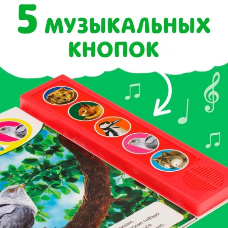 Музыкальная книга «Звуки леса», 10 стр.-2