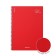 A4 notebook 80 sheets, a cage on a spiral, Erichkrause, "Words" plastic cover red
