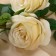 Flowers artificial "rose luxury" 9x63 cm, white