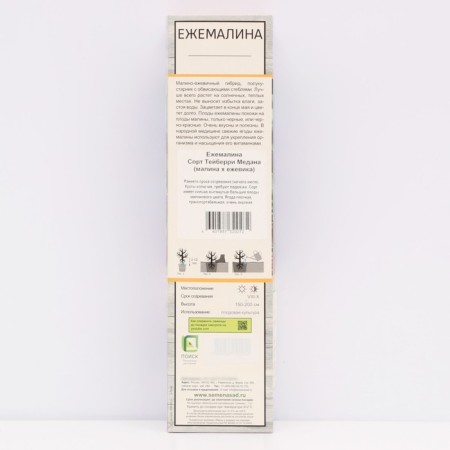 Ezhemalina (blackberry) "Teiberry Medan (Raspberry X Black Blekeeping)", Tuba, 1 pc, spring 2025-1