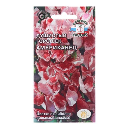 Flower seeds fragrant peas "American",