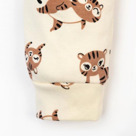 Set: jumper and pants crumb I am "tiger", height 74-80 cm-6