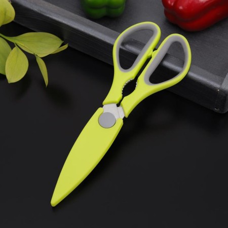 Scissors kitchen shares "Sport", 22 cm, color mix