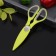 Scissors kitchen shares "Sport", 22 cm, color mix