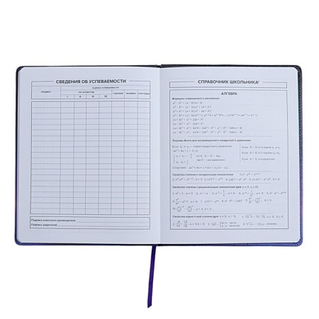 Universal Diary Grade 1-11, 48 sheets "Cat in the raincoat", solid cover of artificial leather, applique, liesse, universal cheat sheet, block 80 g/m2-8
