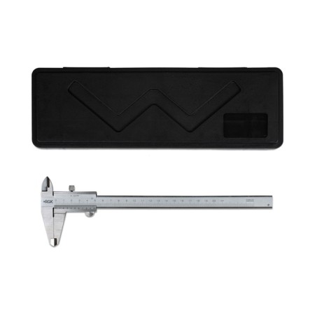 RGK SCM-200 standard, with a depthrometer, step 0.02 mm, 200 mm-3