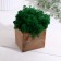 Kashpo Composition with Moss "Briovud", stabilized moss: Forest Green (Green Forest)
