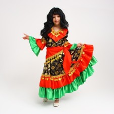 The carnival costume 