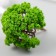 Artificial plant for creativity plastic "Green tree" 6 cm
